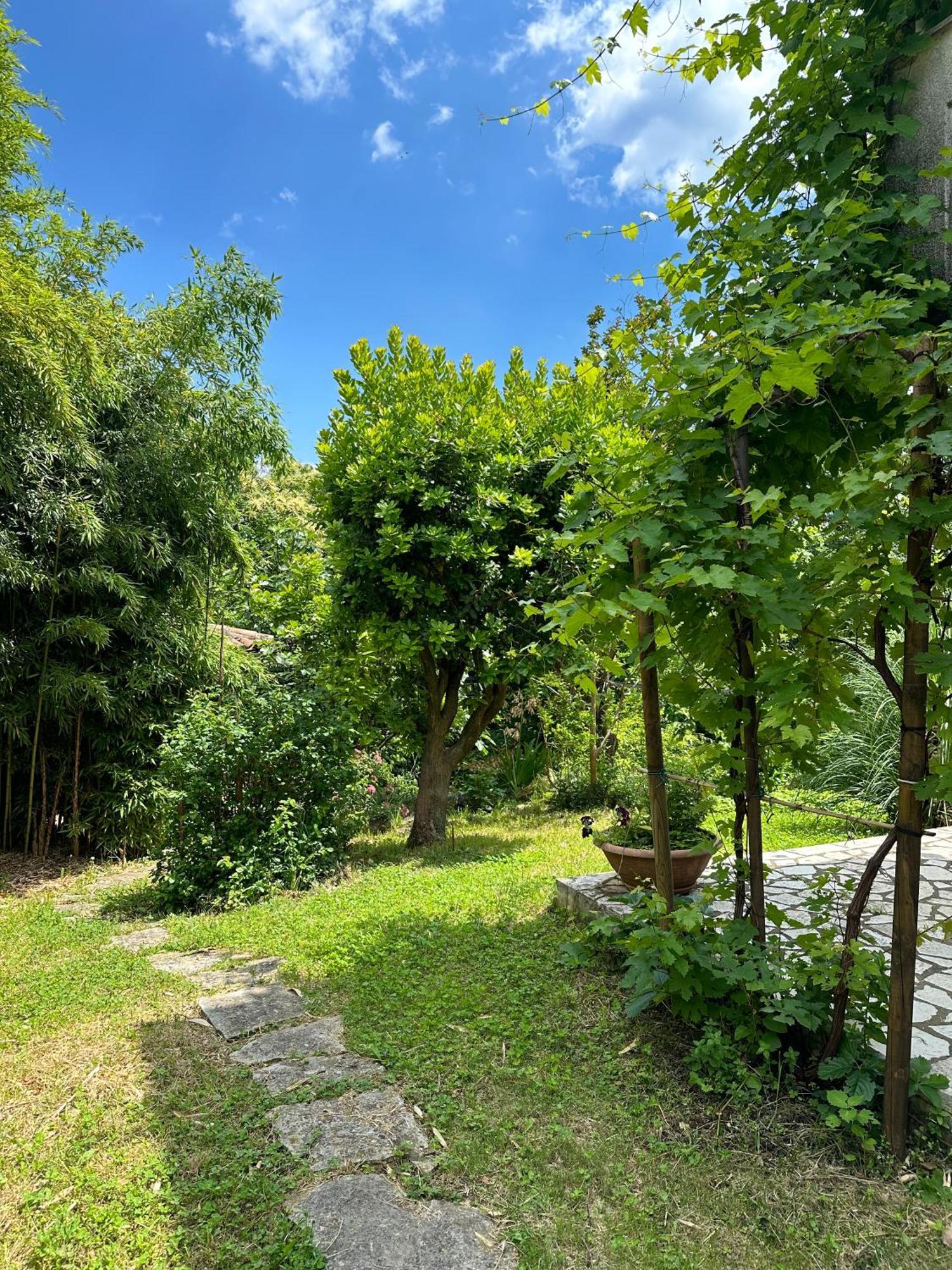 דירות לובראן Secret Garden House מראה חיצוני תמונה