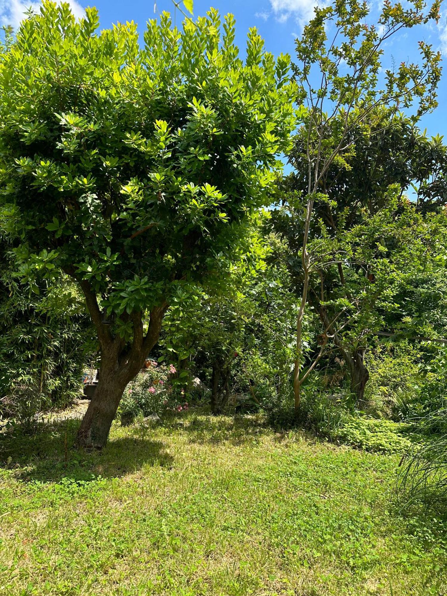 דירות לובראן Secret Garden House מראה חיצוני תמונה